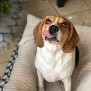 Meet your Posher, Carla